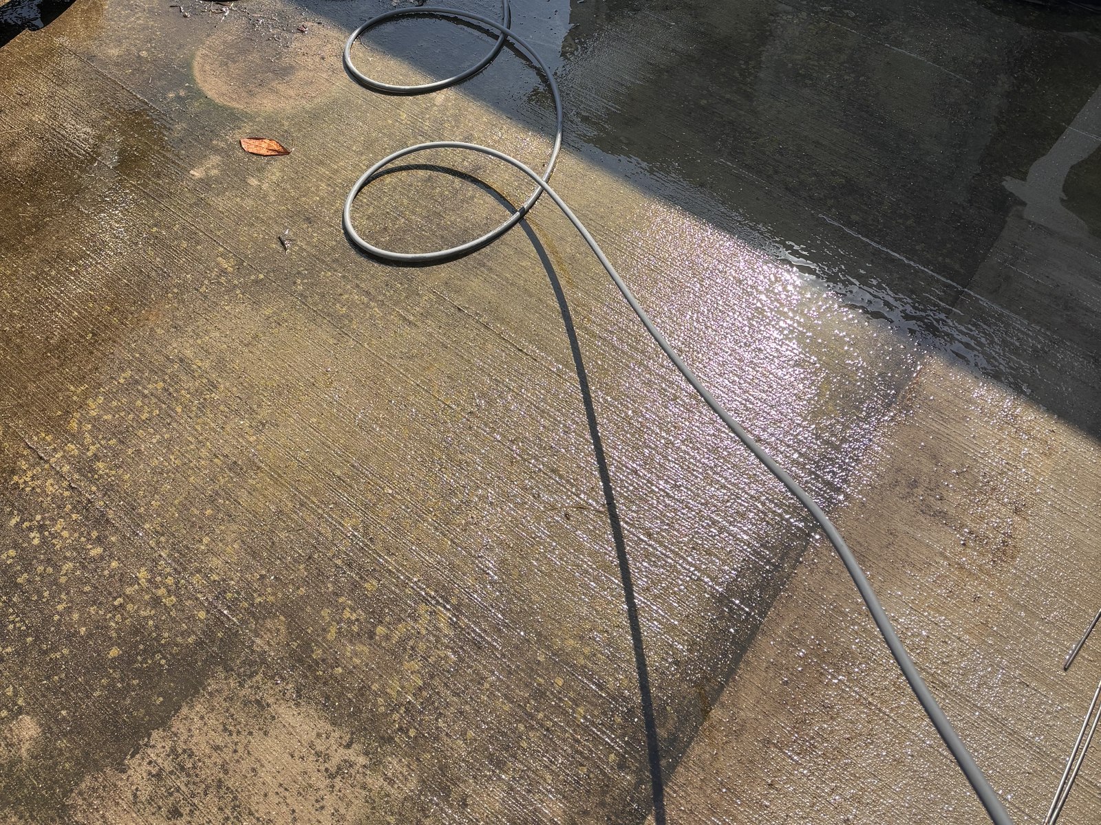 A concrete patio slab before cleaning, speckled with yellow-green algae and black mildew staining
